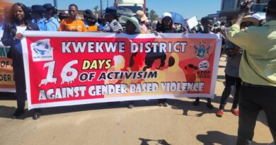 Male involvement key in GBV fight: DDC