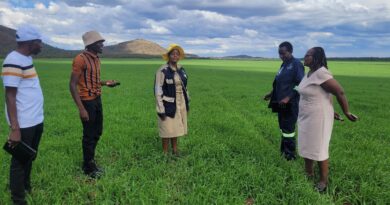 Wheat planting window closing soon, farmers urged to act quickly