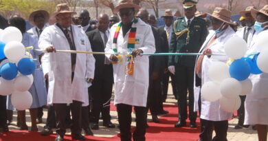 President Mnangagwa calls for affordable legal counsel